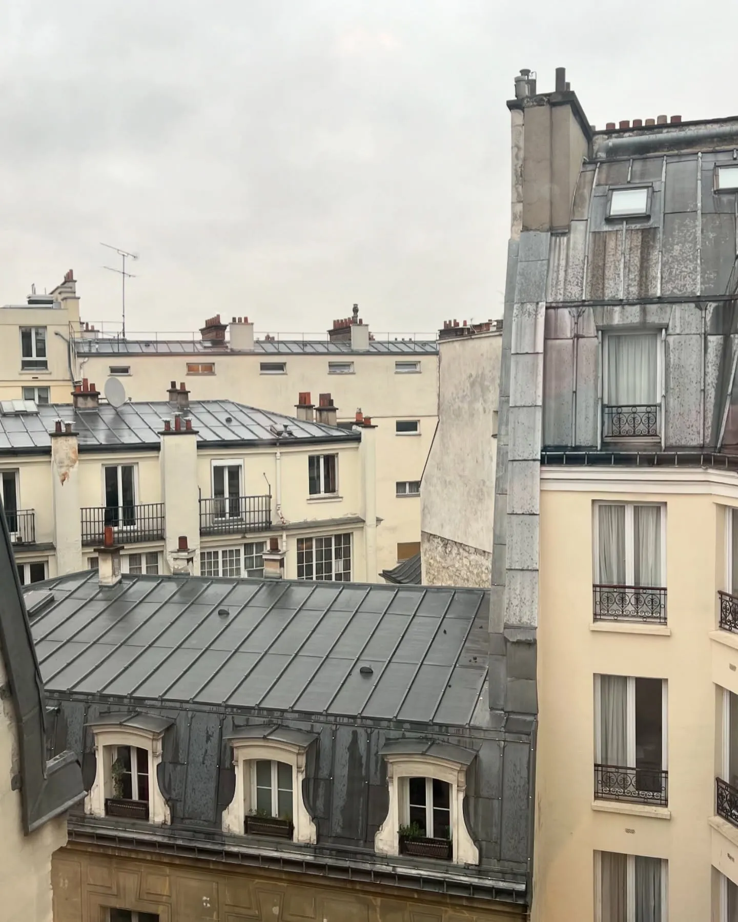 Maya - "City actual"